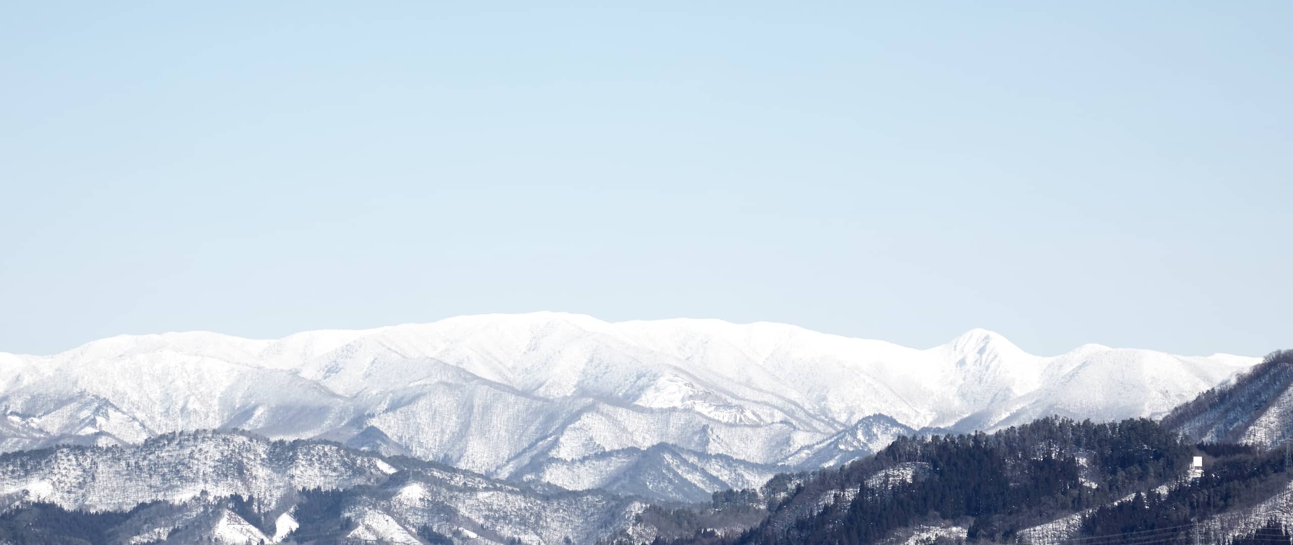 米糀のあまさけ - 小嶋総本店